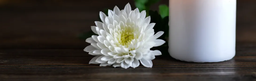 ホワイトボードレンタルはAZレンタル